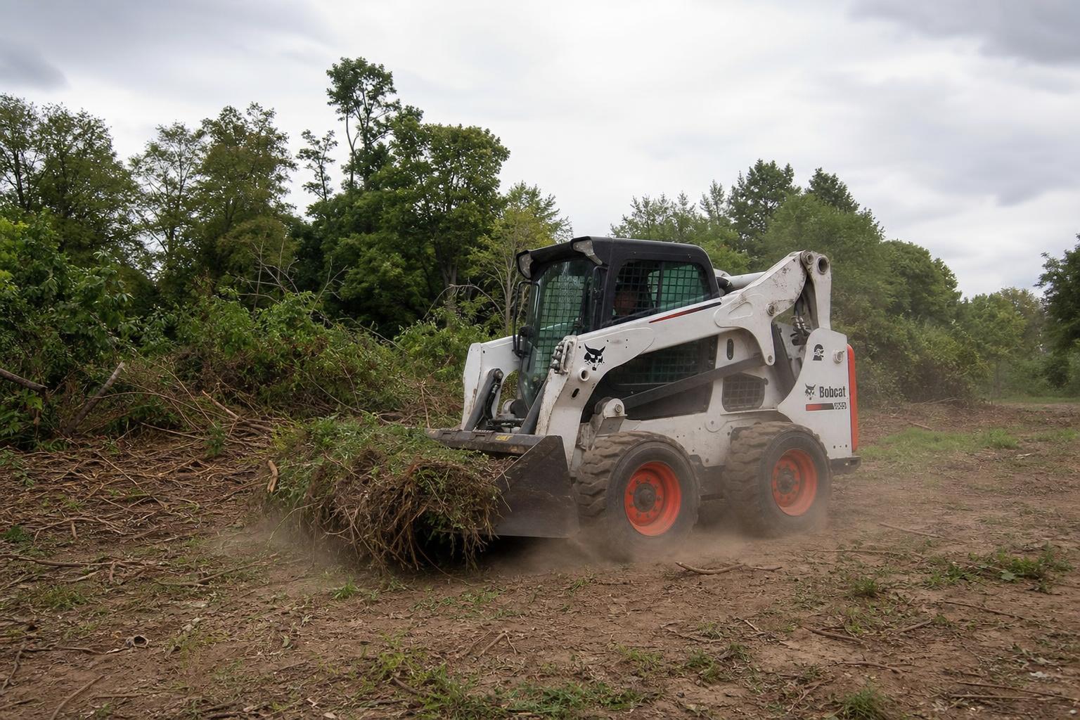 Land Clearing