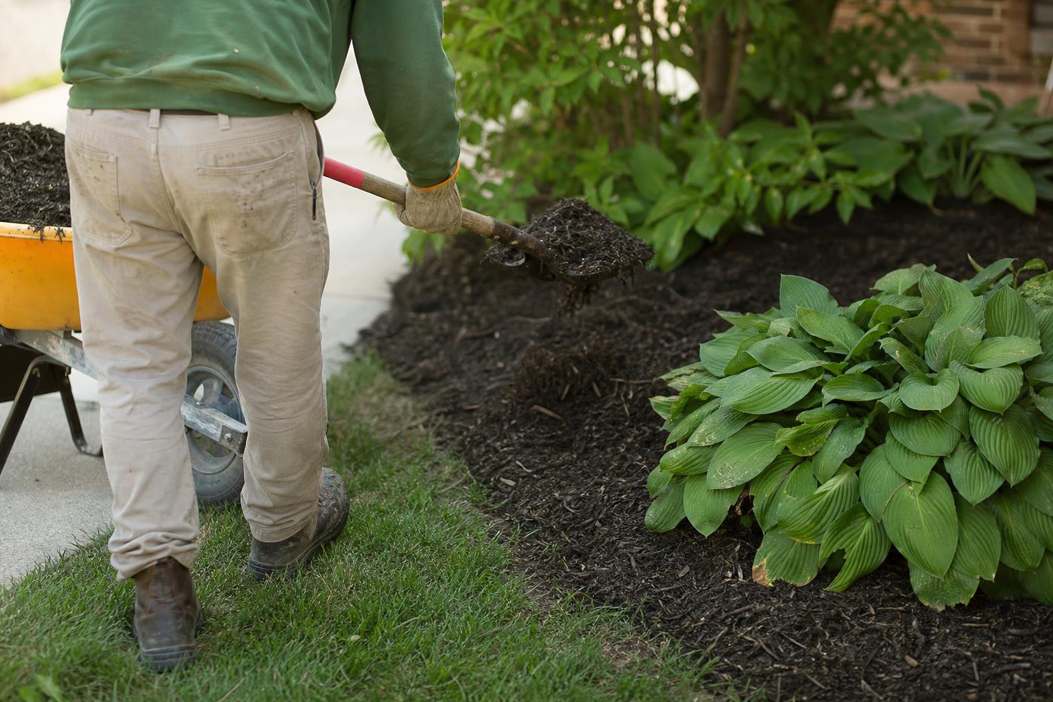 Mulching